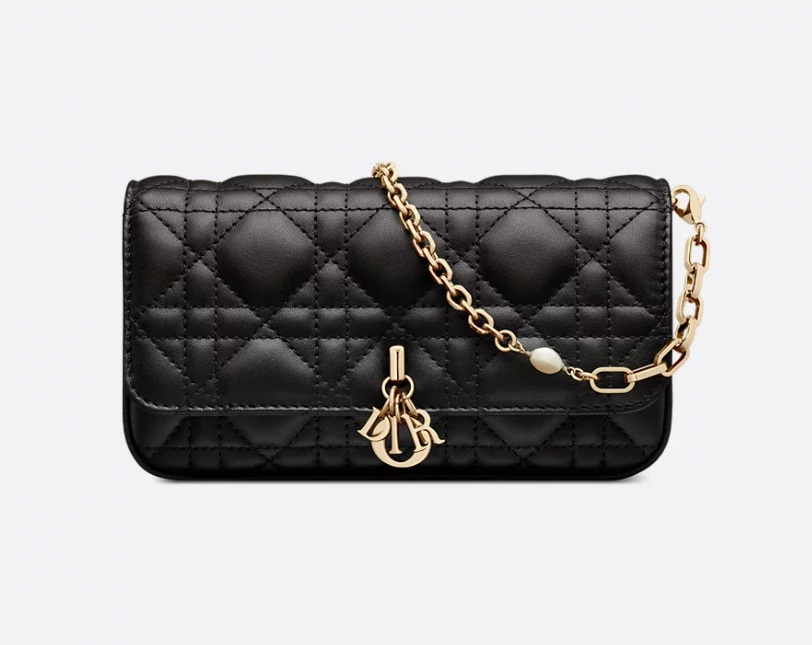 Dior - Talk Phone Pouch